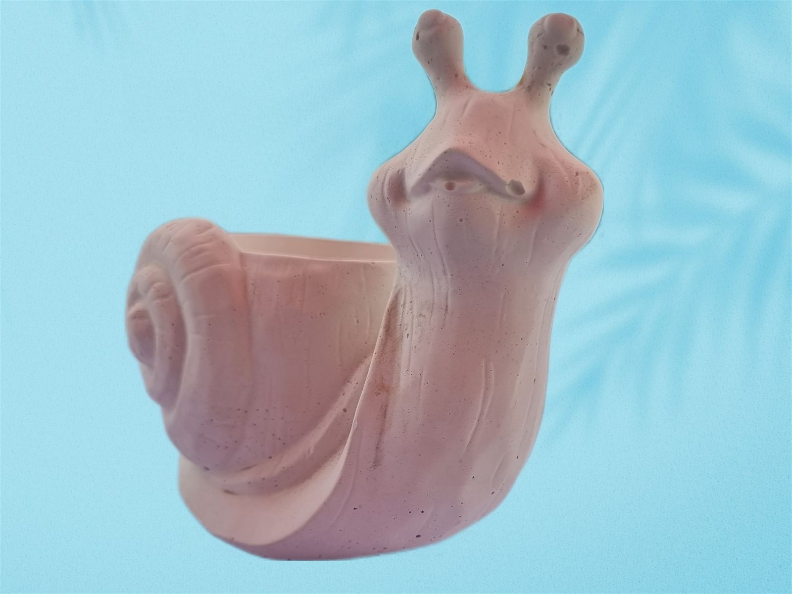 Figura de Caracol
